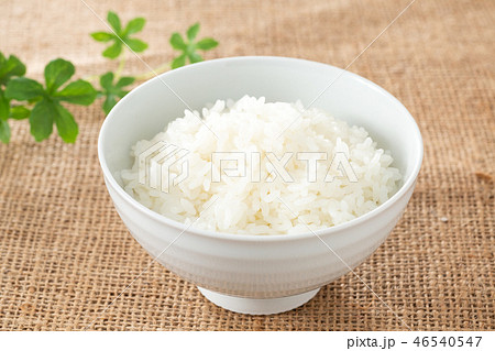ごはん 46540547