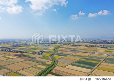 八代平野の農業地帯 八代平野の農業地帯 46540828