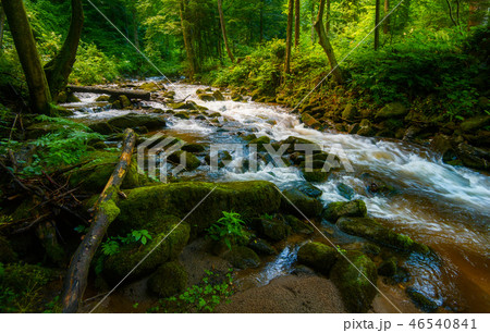 Mountain river - stream flowing through thick green forest, Bistriski Vintgar, Slovenia 46540841