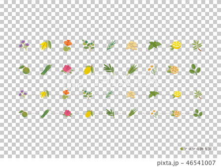 人気のあるハーブの飾りケイ 人気のあるハーブの飾りケイ 46541007
