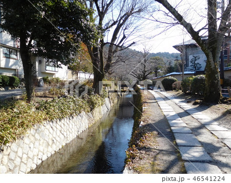 京都　哲学の道 46541224