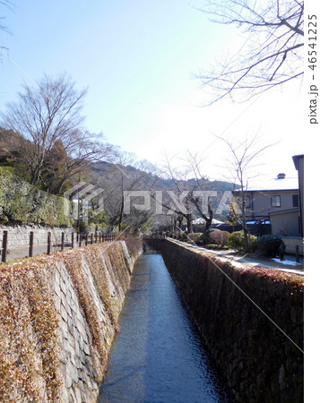 京都　哲学の道 46541225