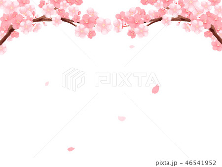 桜 水彩 イラストのイラスト素材