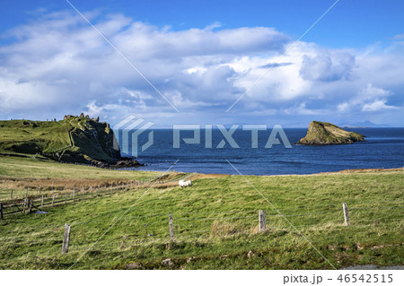 The Tulm Island, Duntulm Bay and the castle ruins on the Isle of Skye - Scotland The Tulm Island, Duntulm Bay and the castle ruins on the Isle of Skye - Scotland 46542515