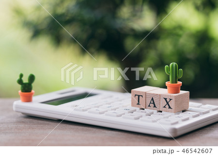 Pay Annual income (TAX) for the year on calculator 46542607