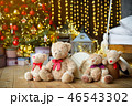 Family of teddy bears siting under the christmas tree with presents 46543302
