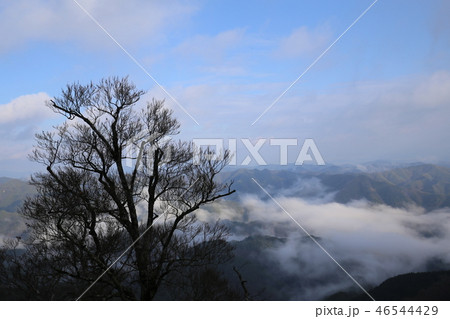 野迫川村の雲海 46544429