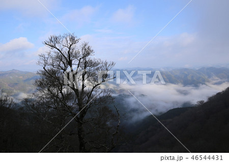 野迫川村の雲海 野迫川村の雲海 46544431