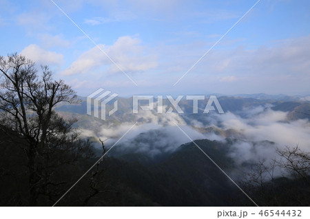 野迫川村の雲海 46544432