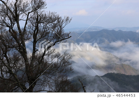 野迫川村の雲海 野迫川村の雲海 46544453