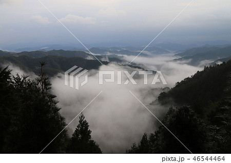 野迫川村の雲海 野迫川村の雲海 46544464