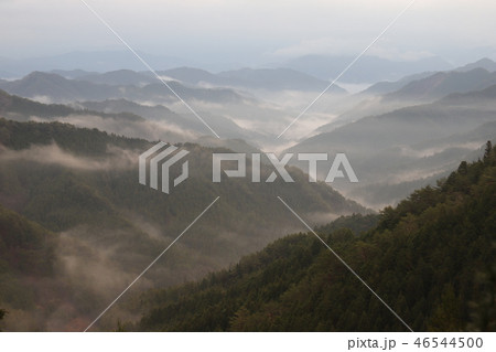 野迫川村の雲海 野迫川村の雲海 46544500