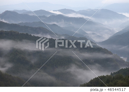 野迫川村の雲海 野迫川村の雲海 46544517