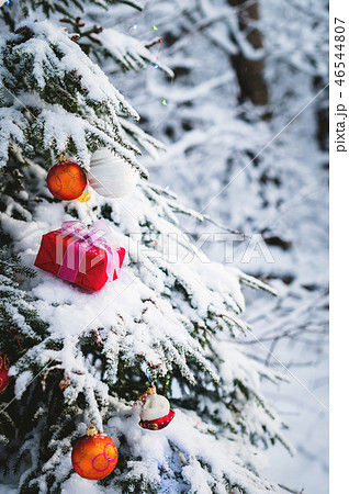 Close-up red New Year's gift with a white ribbon next to Christmas toys on the branches of a snow Close-up red New Year's gift with a white ribbon next to Christmas toys on the branches of a snow 46544807