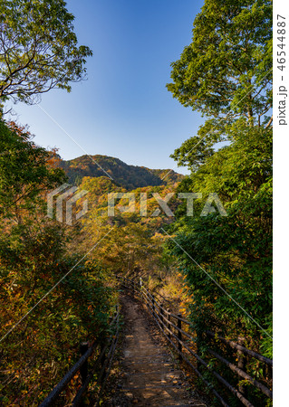 竜神峡 紅葉の写真素材