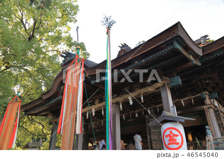 金刀比羅宮「御本宮」（新嘗祭） 46545040