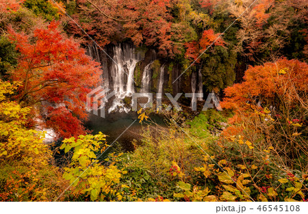 白糸の滝　紅葉 46545108