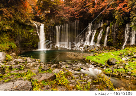 白糸の滝　紅葉 46545109