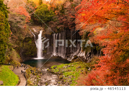 白糸の滝 紅葉 白糸の滝 紅葉 46545113