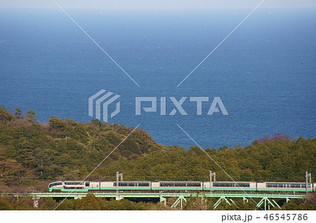 相模湾を背景に赤入洞橋りょうを渡る251系・スーパービュー踊り子 46545786