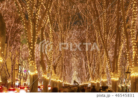 仙台光のページェント　仙台市 46545831