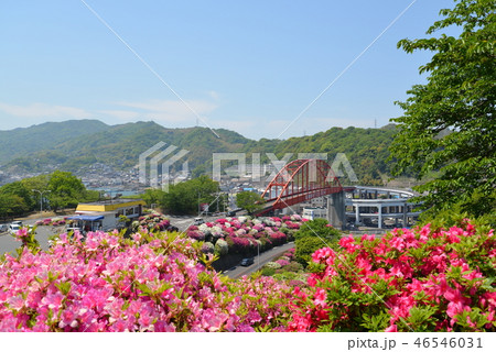 音戸大橋とツツジ(広島県呉市) 音戸大橋とツツジ(広島県呉市) 46546031