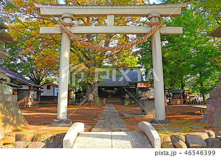 境内入口に堂々と立つ鳥居 境内入口に堂々と立つ鳥居 46546399