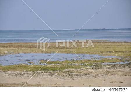 竹富島西桟橋 46547272