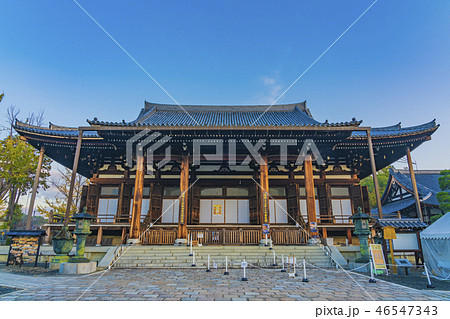 京都　金戒光明寺　御影堂 46547343