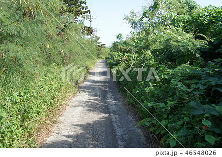 竹富島街並み 竹富島街並み 46548026