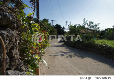 竹富島街並み 竹富島街並み 46548039