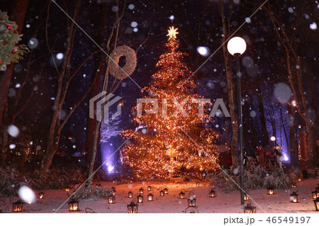 軽井沢のホワイトクリスマス　クリスマスの灯り 46549197