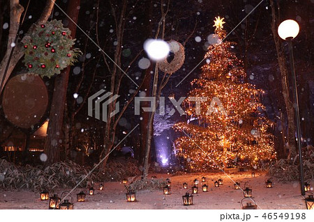 軽井沢のホワイトクリスマス　クリスマスの灯り 46549198