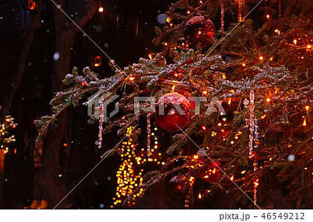 軽井沢　ホワイトクリスマス　クリスマスツリー　灯り 46549212