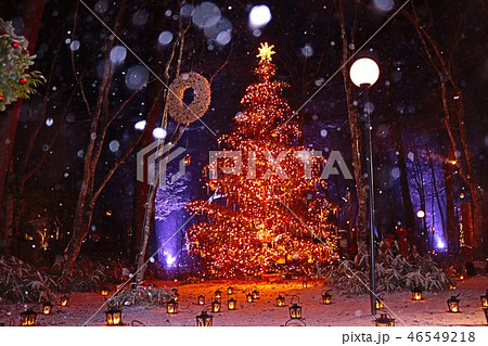 森の中のホワイトクリスマス クリスマスの灯り 森の中のホワイトクリスマス クリスマスの灯り 46549218