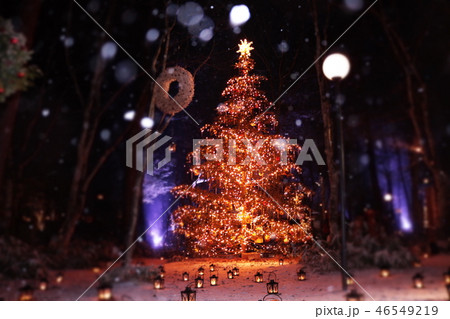 軽井沢のホワイトクリスマス　クリスマスの灯り 46549219
