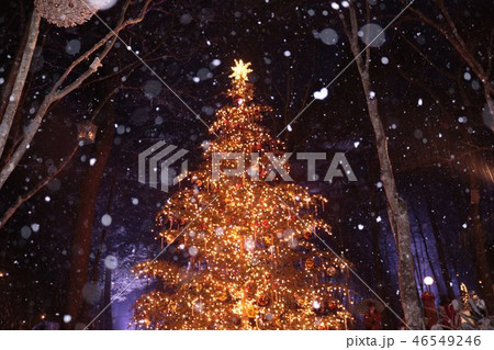 軽井沢のホワイトクリスマス　クリスマスの灯り 46549246