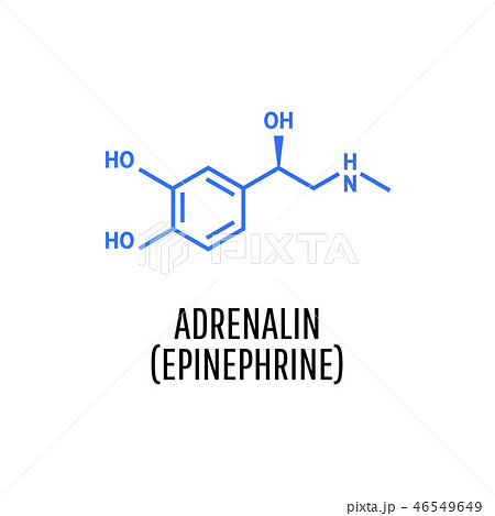 Adrenaline (adrenalin, epinephrine) molecule Adrenaline (adrenalin, epinephrine) molecule 46549649