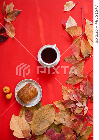 colorful leaves on a red background red green yellow colorful leaves on a red background red green yellow 46551547