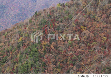 なめご谷の紅葉 なめご谷の紅葉 46551799