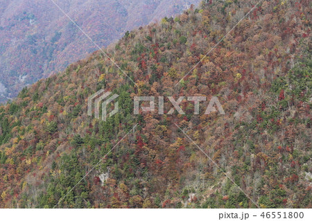 なめご谷の紅葉 なめご谷の紅葉 46551800