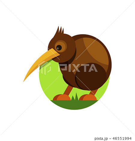 Cute Cartoon Kiwi Bird Vector Illustration のイラスト素材