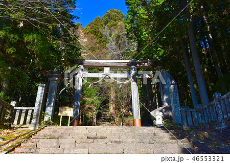 戸隠神社 宝光社　参道 46553321