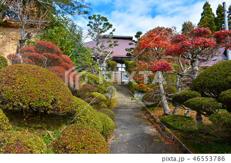 大法寺　紅葉　長野 46553786