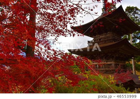 大法寺三重塔 紅葉 国宝 大法寺三重塔 紅葉 国宝 46553999