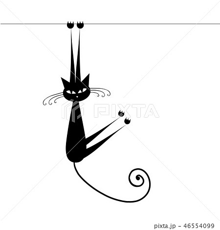 Funny cat silhouette black for your design Funny cat silhouette black for your design 46554099