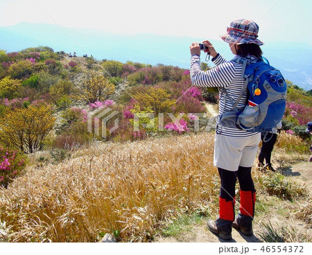 山ガール 46554372