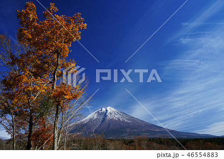 12月の紅葉と富士山 静岡県富士宮市 の写真素材