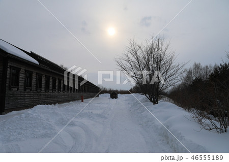 冬 ウインター ウィンター 46555189