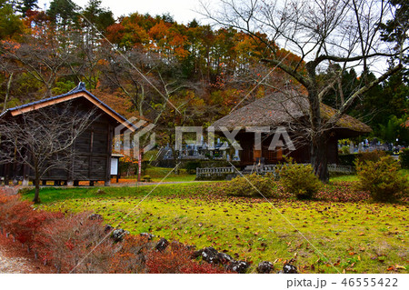 中禅寺　薬師堂と山門　上田市 46555422
